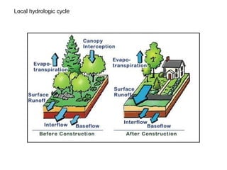 Local hydrologic cycle
 