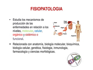 Introduccion a la fisiopatologia by MD.Jimena Aguilar E. | PPTX
