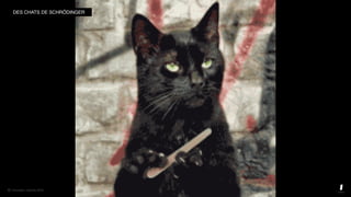 © innovation copilots 2019© innovation copilots 2019
DES CHATS DE SCHRÖDINGER
 
