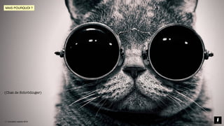 © innovation copilots 2019
MAIS POURQUOI ?
© innovation copilots 2019
(Chat de Schrödinger)
 