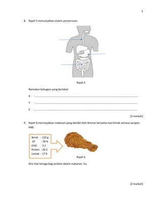 5
8. Rajah 5 menunjukkan sistem pencernaan.
Rajah 5
Namakan bahagian yang berlabel:
X : ………………………………………………………………………………………………………………………………………
Y : ……………………………………………………………………………………………………………………………………..
Z : ………………………………………………………………………………………………………………………………………
[3 markah]
9. Rajah 6 menunjukkan makanan yang dambil oleh Ammar bersama nasi lemak semasa sarapan
pagi.
Rajah 6
Kira nilai tenaga bagi protein dalam makanan itu.
[2 markah]
Berat : 120 g
EP : 78 %
CHO : 3.2
Proten : 20.2
Lemak : 17.9
 