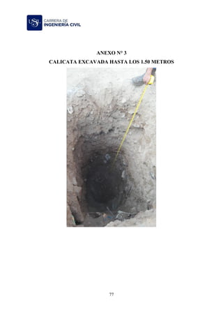 77
ANEXO N° 3
CALICATA EXCAVADA HASTA LOS 1.50 METROS
 
