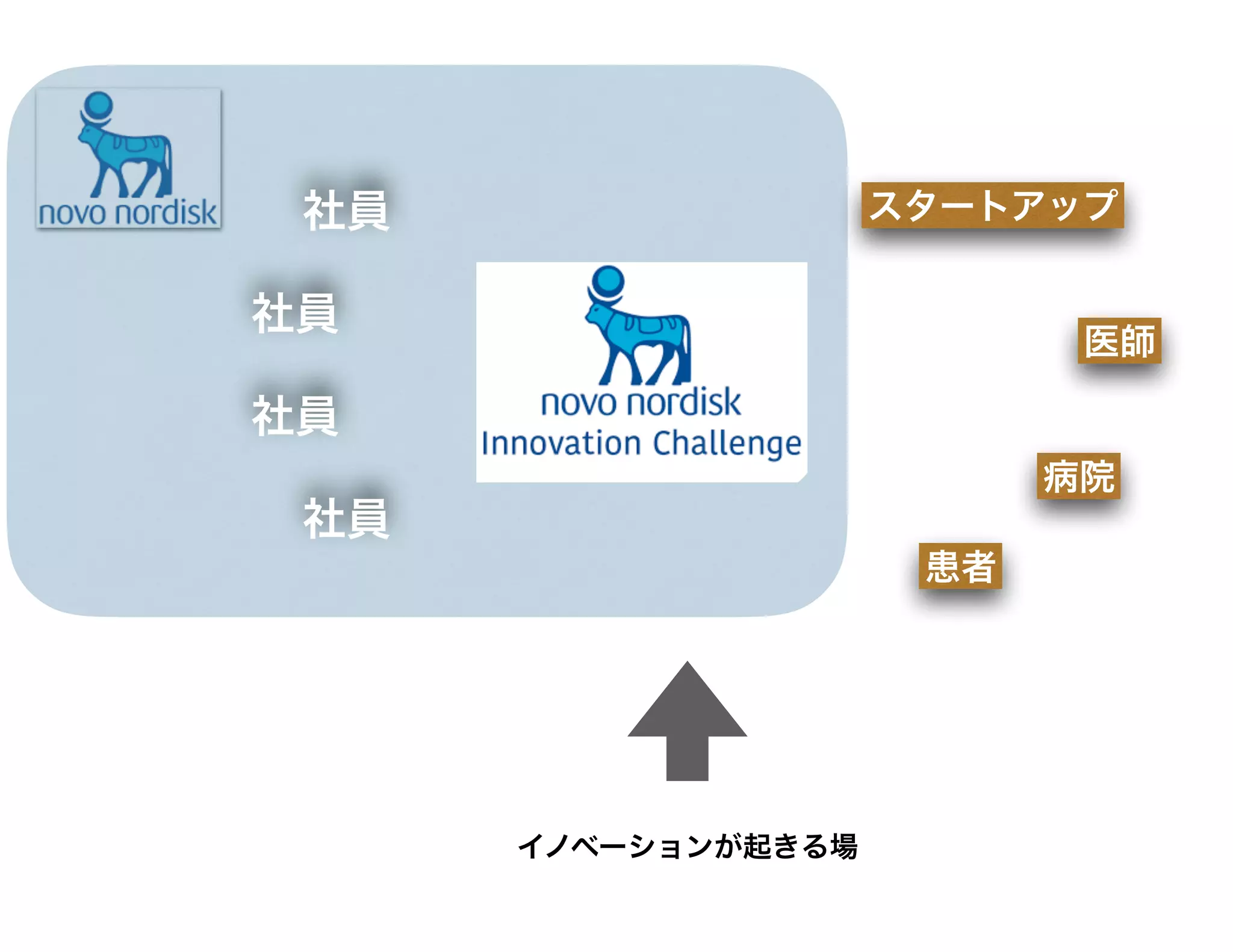 イノベーションが起きる場
社員
社員
社員
社員 スタートアップ
医師
病院
患者
 