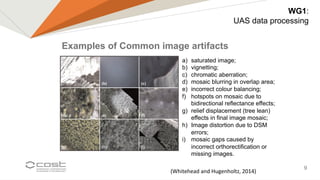DRONES IN HYDROLOGY | PDF