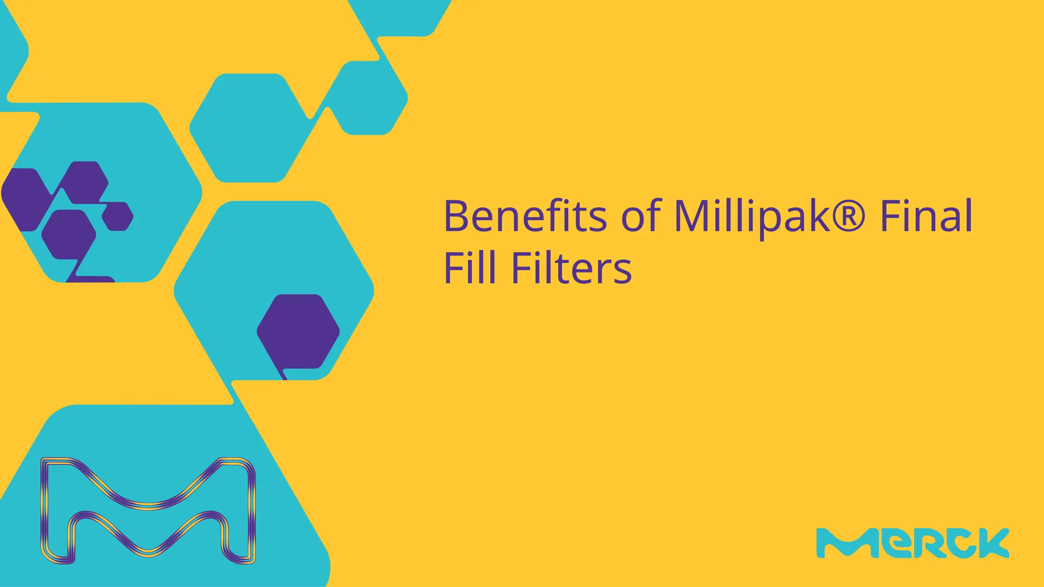 Benefits of Millipak® Final
Fill Filters
 