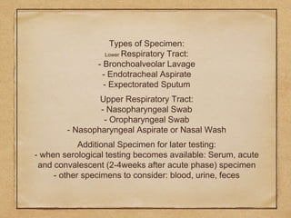 Types of Specimen:
Lower Respiratory Tract:
- Bronchoalveolar Lavage
- Endotracheal Aspirate
- Expectorated Sputum
Upper Respiratory Tract:
- Nasopharyngeal Swab
- Oropharyngeal Swab
- Nasopharyngeal Aspirate or Nasal Wash
Additional Specimen for later testing:
- when serological testing becomes available: Serum, acute
and convalescent (2-4weeks after acute phase) specimen
- other specimens to consider: blood, urine, feces
 