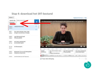Stap 4: download het SRT-bestand
 