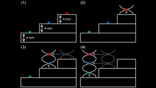 (1) (2)
(3) (4)
4 mm
4 mm
4 mm
 