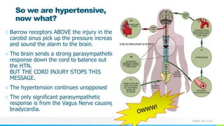 NAME OR LOGO
So we are hypertensive,
now what?
○ Barrow receptors ABOVE the injury in the
carotid sinus pick up the pressure increase
and sound the alarm to the brain.
○ The brain sends a strong parasympathetic
response down the cord to balance out
the HTN.
BUT THE CORD INJURY STOPS THIS
MESSAGE.
○ The hypertension continues unopposed
○ The only significant parasympathetic
response is from the Vagus Nerve causing
bradycardia.
 