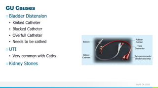 NAME OR LOGO
GU Causes
○Bladder Distension
• Kinked Catheter
• Blocked Catheter
• Overfull Catheter
• Needs to be cathed
○UTI
• Very common with Caths
○Kidney Stones
 