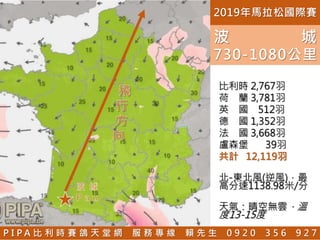 比利時 2,767羽
荷 蘭 3,781羽
英 國 512羽
德 國 1,352羽
法 國 3,668羽
盧森堡 39羽
共計 12,119羽
北-東北風(逆風)，最
高分速1138.98米/分
天氣：晴空無雲，溫
度13-15度
2019年馬拉松國際賽
P I P A 比 利 時 賽 鴿 天 堂 網 服 務 專 線 賴 先 生 0 9 2 0 3 5 6 9 2 7
波 城
730-1080公里
 