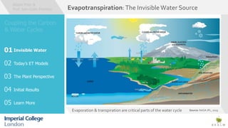 Evaporation & transpiration are critical parts of the water cycle
Evapotranspiration:The InvisibleWater Source
Source: NASA JPL, 2019
Invisible Water
Today’s ET Models
Learn More
01
The Plant Perspective
Initial Results
 