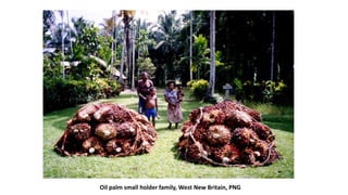 Building gender equity from the bottom up in agricultural communities