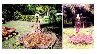 Building gender equity from the bottom up in agricultural communities