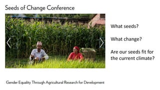 Building gender equity from the bottom up in agricultural communities