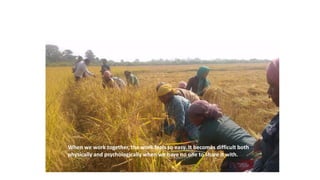 Building gender equity from the bottom up in agricultural communities