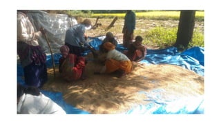 Building gender equity from the bottom up in agricultural communities