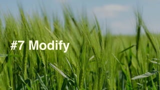 #7 Modify
 