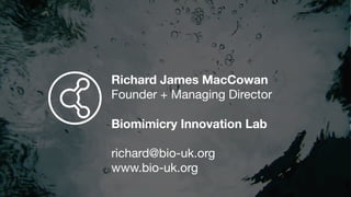 Richard James MacCowan
Founder + Managing Director

Biomimicry Innovation Lab
richard@bio-uk.org

www.bio-uk.org
 