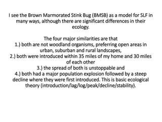 I see the Brown Marmorated Stink Bug (BMSB) as a model for SLF in
many ways, although there are significant differences in their
ecology.
The four major similarities are that
1.) both are not woodland organisms, preferring open areas in
urban, suburban and rural landscapes,
2.) both were introduced within 35 miles of my home and 30 miles
of each other
3.) the spread of both is unstoppable and
4.) both had a major population explosion followed by a steep
decline where they were first introduced. This is basic ecological
theory (introduction/lag/log/peak/decline/stability).
 
