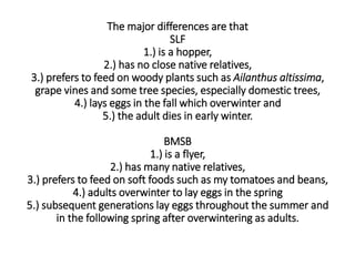 The major differences are that
SLF
1.) is a hopper,
2.) has no close native relatives,
3.) prefers to feed on woody plants such as Ailanthus altissima,
grape vines and some tree species, especially domestic trees,
4.) lays eggs in the fall which overwinter and
5.) the adult dies in early winter.
BMSB
1.) is a flyer,
2.) has many native relatives,
3.) prefers to feed on soft foods such as my tomatoes and beans,
4.) adults overwinter to lay eggs in the spring
5.) subsequent generations lay eggs throughout the summer and
in the following spring after overwintering as adults.
 