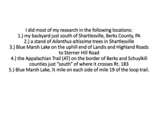 I did most of my research in the following locations:
1.) my backyard just south of Shartlesville, Berks County, PA
2.) a stand of Ailanthus altissima trees in Shartlesville
3.) Blue Marsh Lake on the uphill end of Landis and Highland Roads
to Sterner Hill Road
4.) the Appalachian Trail (AT) on the border of Berks and Schuylkill
counties just “south” of where it crosses Rt. 183
5.) Blue Marsh Lake, ½ mile on each side of mile 19 of the loop trail.
 