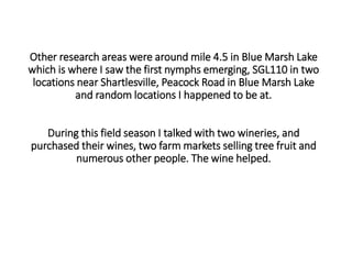 Other research areas were around mile 4.5 in Blue Marsh Lake
which is where I saw the first nymphs emerging, SGL110 in two
locations near Shartlesville, Peacock Road in Blue Marsh Lake
and random locations I happened to be at.
During this field season I talked with two wineries, and
purchased their wines, two farm markets selling tree fruit and
numerous other people. The wine helped.
 