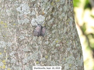 Shartlesville, Sept. 10, 2019
 