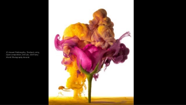 2019, Sony World Photography Awards: Featured Entries (3)