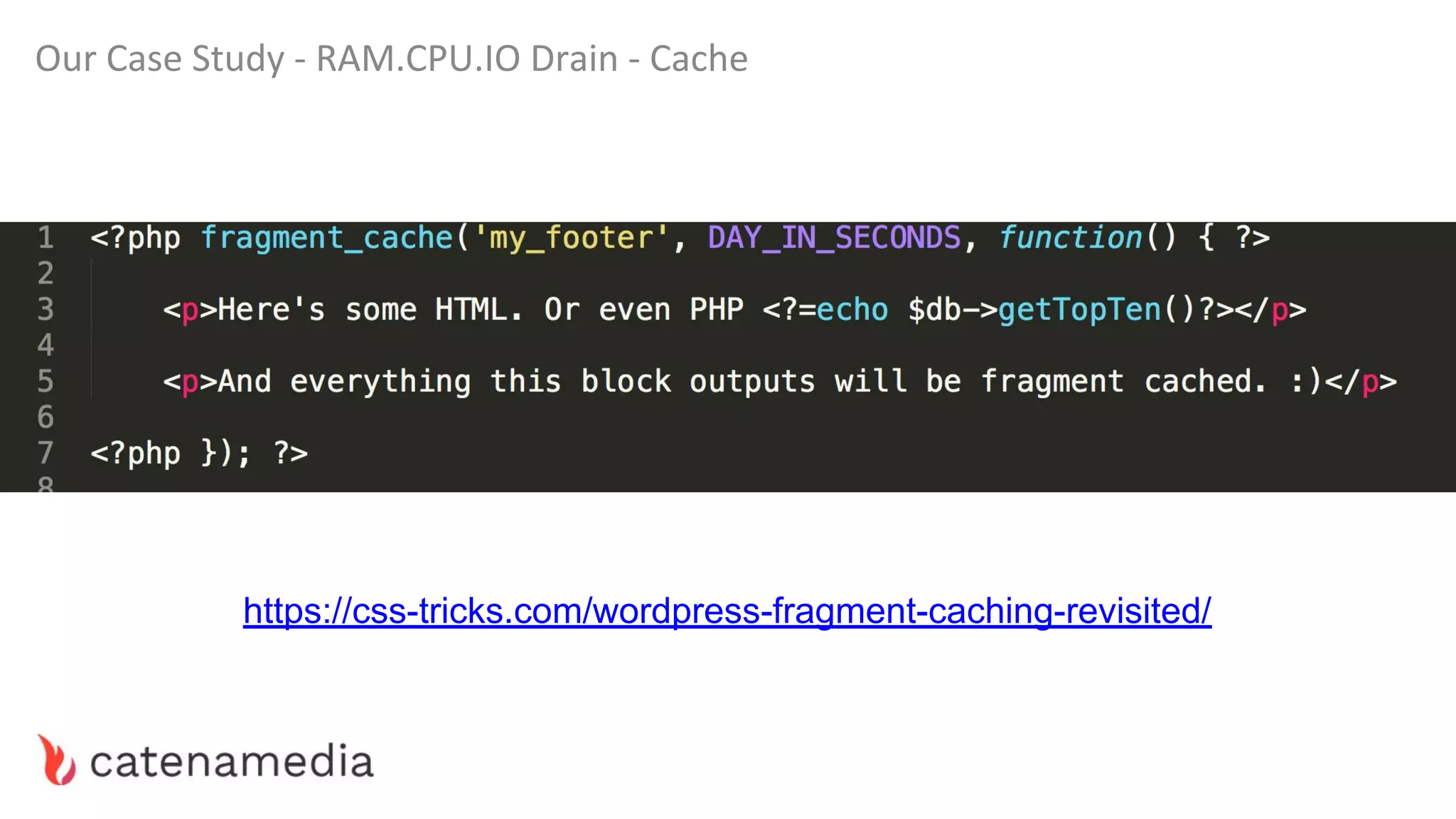 Our Case Study - RAM.CPU.IO Drain - Cache
https://css-tricks.com/wordpress-fragment-caching-revisited/
 