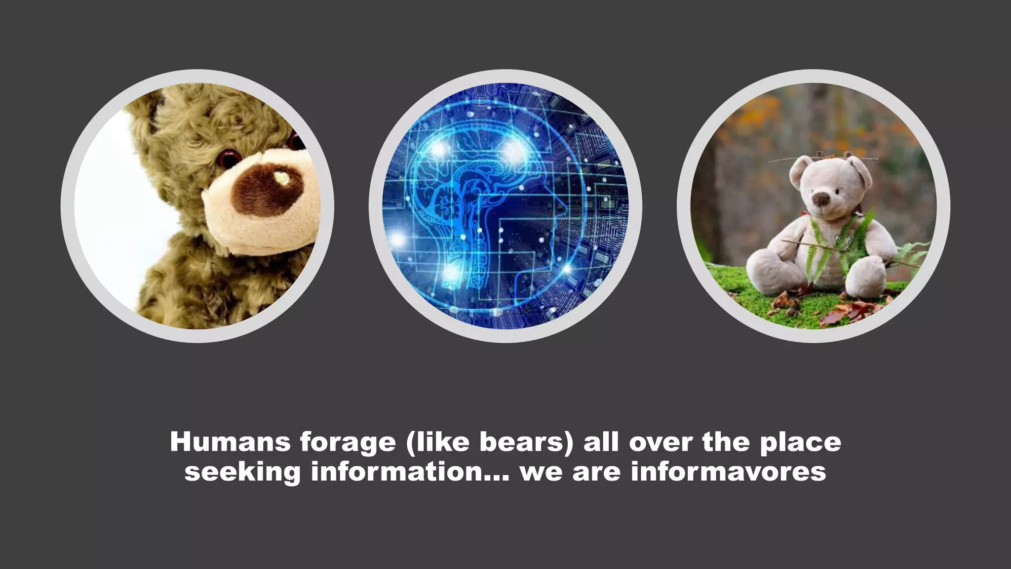 Humans forage (like bears) all over the place
seeking information… we are informavores
 