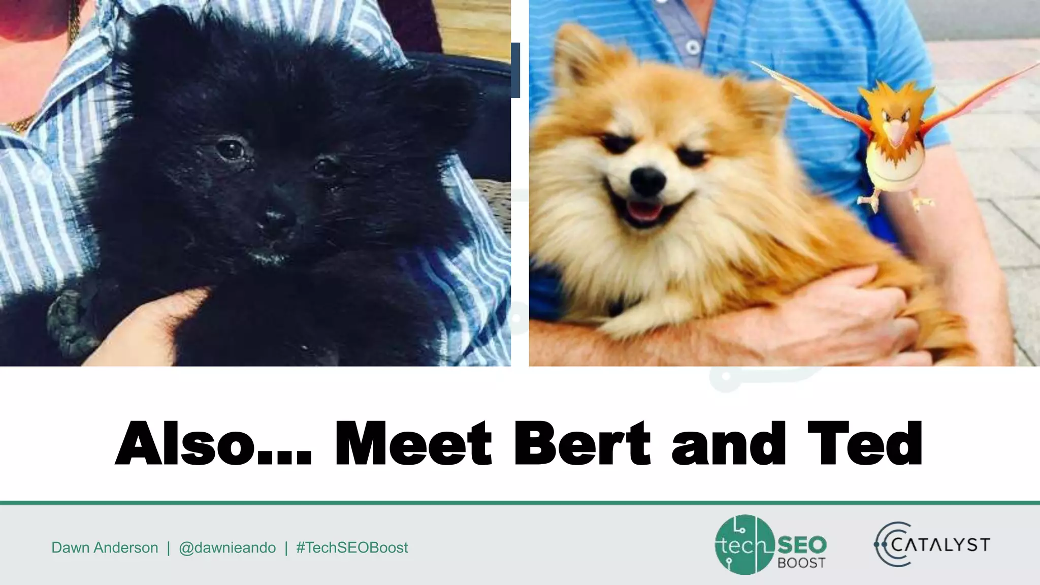 Dawn Anderson | @dawnieando | #TechSEOBoost
Also… Meet Bert and Ted
 