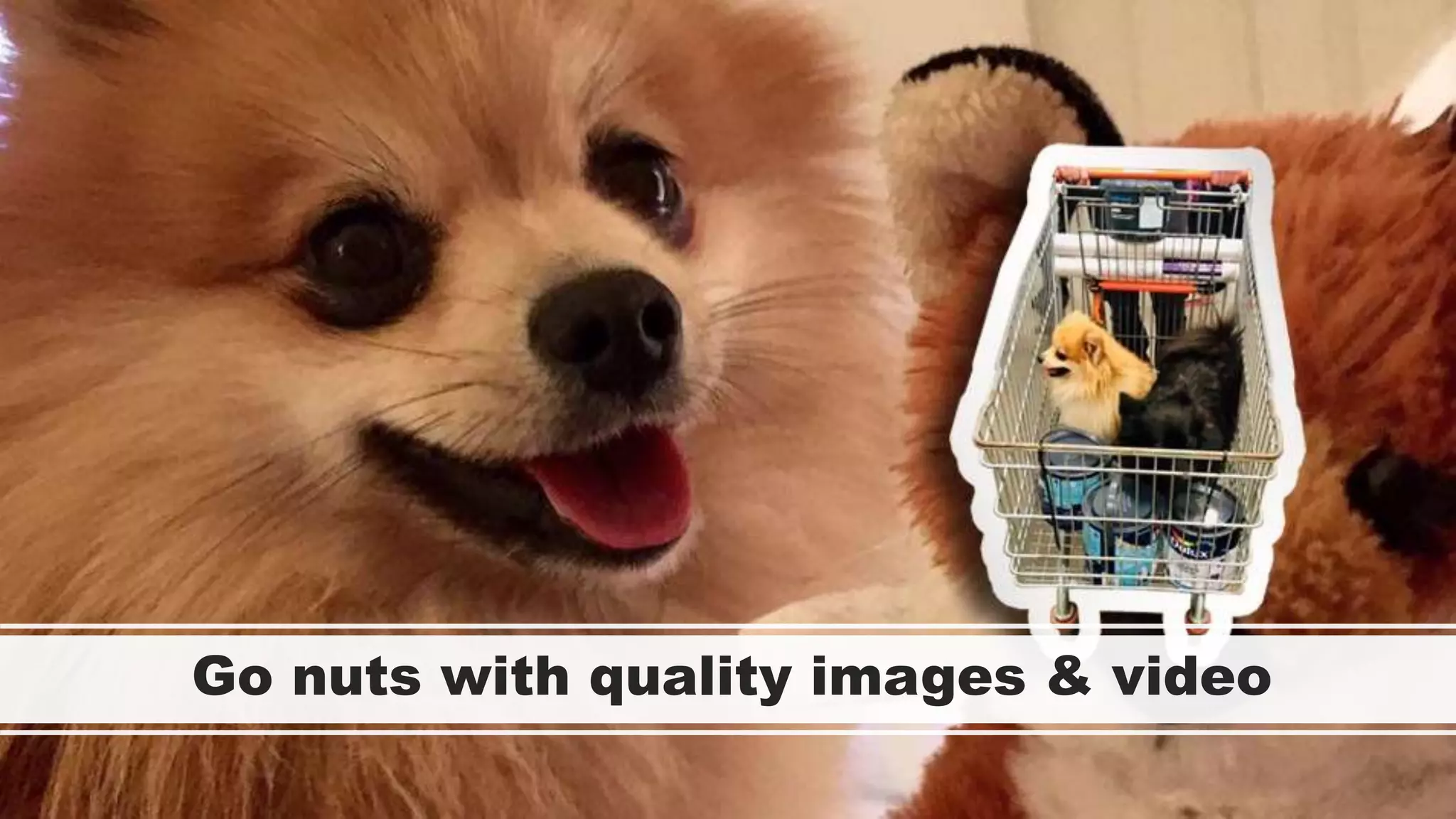 Go nuts with quality images & video
 