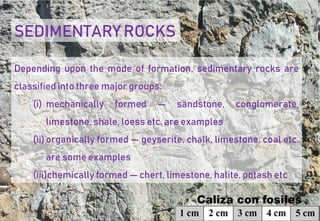 Lithophores Rocks 2019 tg lithosphere2 rocks | PDF