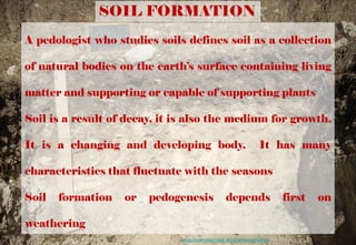 SOIL FORMATION
A pedologist who studies soils defines soil as a collection
of natural bodies on the earth’s surface containing living
matter and supporting or capable of supporting plants
Soil is a result of decay, it is also the medium for growth.
It is a changing and developing body. It has many
characteristics that fluctuate with the seasons
Soil formation or pedogenesis depends first on
weathering
https://memolaproject.eu/activities/pedology
 