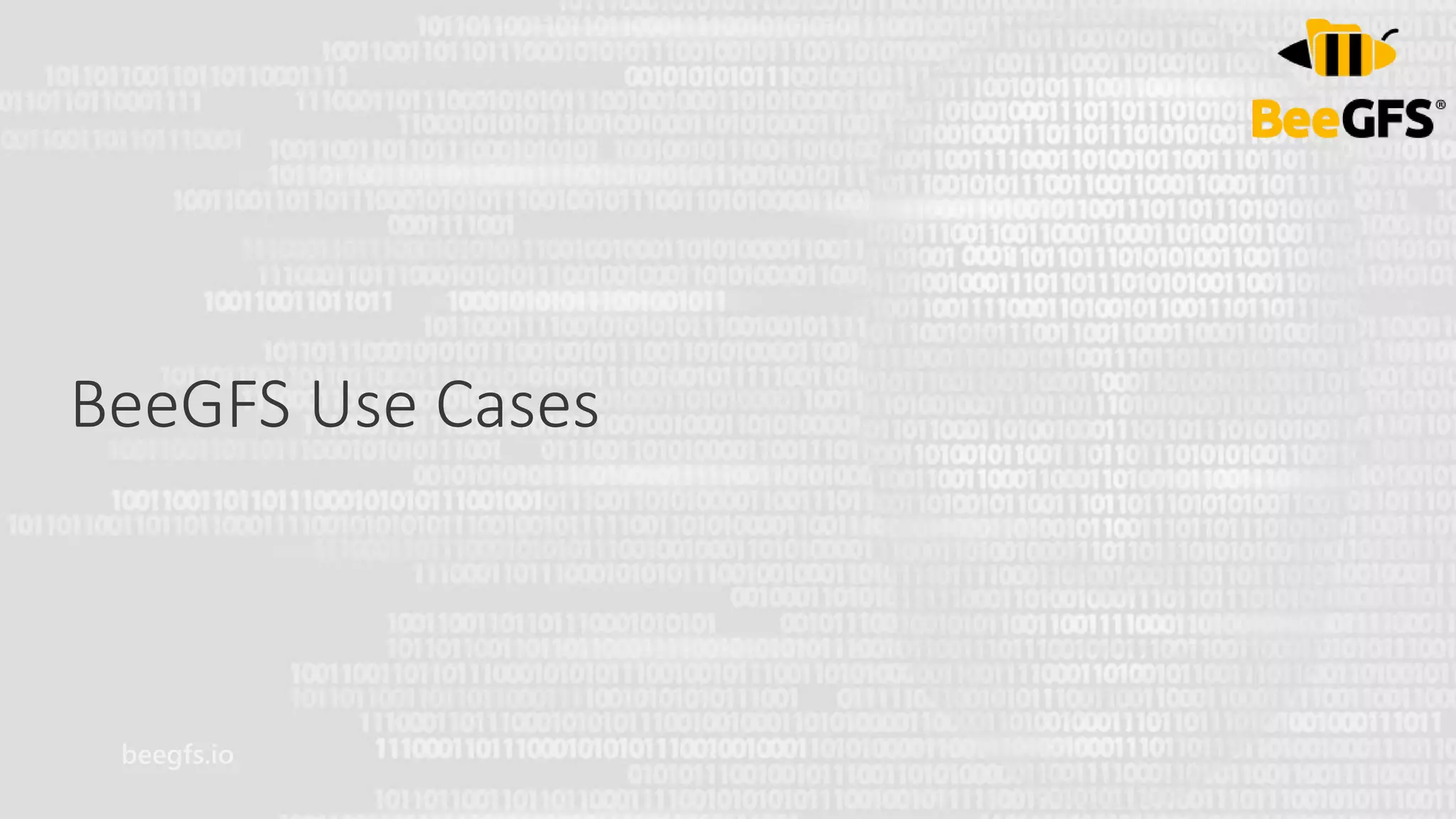 beegfs.io
BeeGFS Use Cases
 