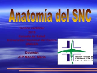 Tronco cerebral:
2019
Escuela de Salud
Universidad Nacional del Centro
UNICEN
Docente:
JTP Menón, Mario
 
