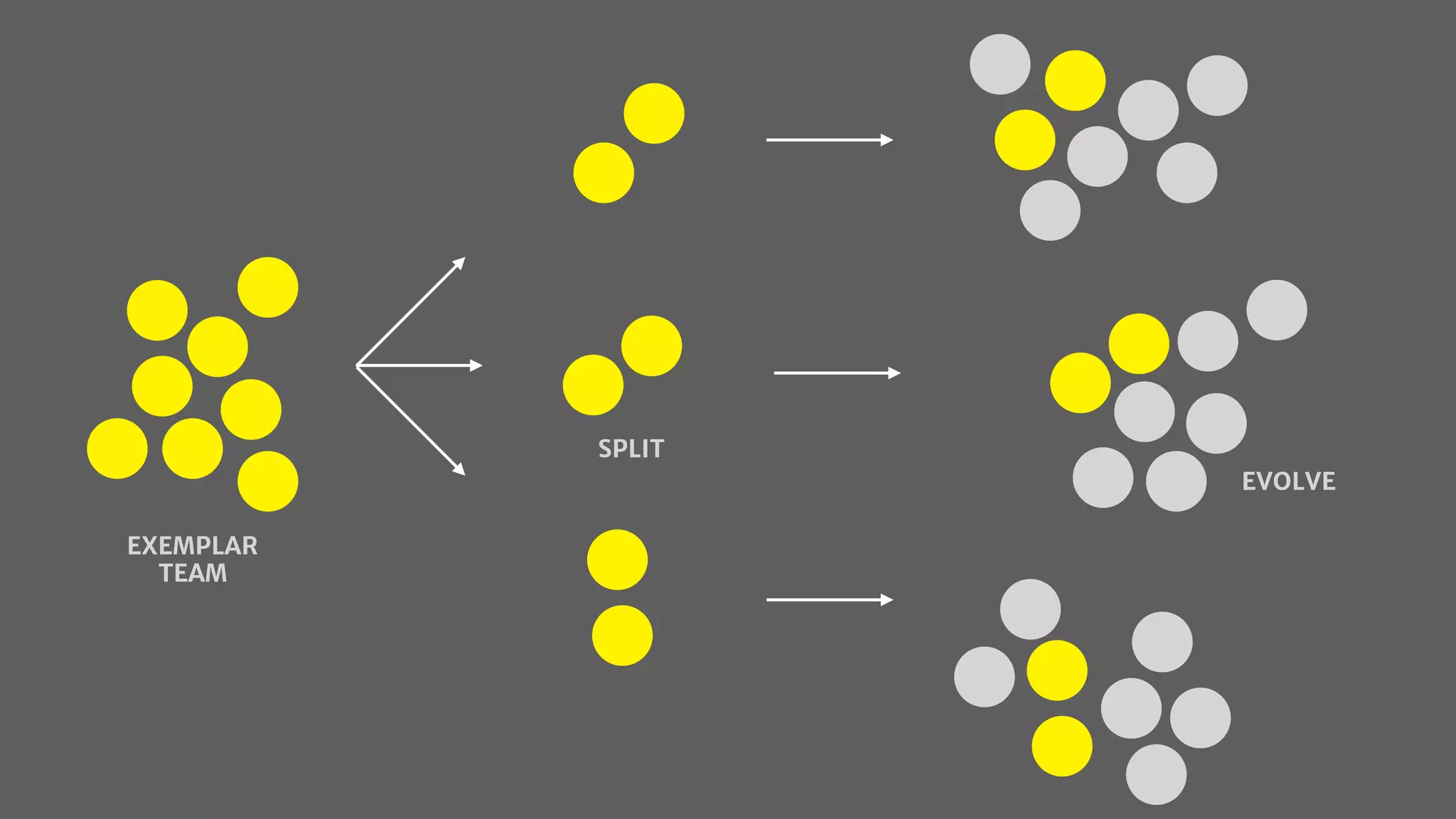 EXEMPLAR
TEAM
SPLIT
EVOLVE
 