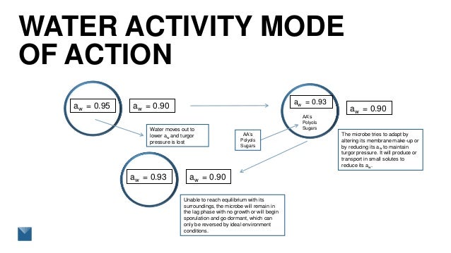 Water Activity Measurement Theory – NRFGY