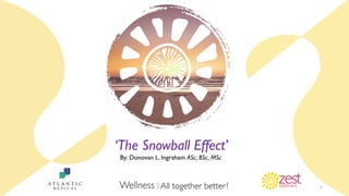 1
‘The Snowball Effect’
By: Donovan L. Ingraham ASc, BSc, MSc
 