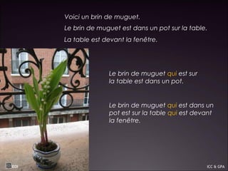 Voici un brin de muguet.
Le brin de muguet est dans un pot sur la table.
La table est devant la fenêtre.
Le brin de muguet qui est sur
la table est dans un pot.
Le brin de muguet qui est dans un
pot est sur la table qui est devant
la fenêtre.
EOI ICC & GPA
 