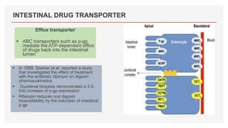 INTESTINAL DRUG TRANSPORTER
Efflux transporter
 ABC transporters such as p-gp
mediate the ATP-dependent efflux
of drugs back into the intestinal
lumen
 In 1999, Greiner et al. reported a study
that investigated the effect of treatment
with the antibiotic rifampin on digoxin
pharmacokinetics
 Duodenal biopsies demonstrated a 3.5-
fold increase of p-gp expression
 Rifampin reduces oral digoxin
bioavailability by the induction of intestinal
p-gp
 