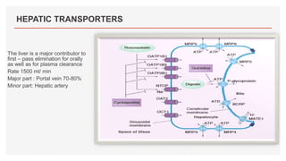 HEPATIC TRANSPORTERS
The liver is a major contributor to
first – pass elimination for orally
as well as for plasma clearance
Rate 1500 ml/ min
Major part : Portal vein 70-80%
Minor part: Hepatic artery
 