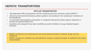 HEPATIC TRANSPORTERS
EFFLUX TRANSPORTER
 Atp-dependent efflux transporters and the multidrug and toxin extrusion protein (MATE) 1
• Driven by the transmembraneous proton gradient, are localized in the canalicular membrane of
the hepatocyte
• Concomitant administration of quinidine or verapamil reduced the biliary digoxin clearance in
humans by approximately 45%
• Quinidine and verapamil have been identified as potent inhibitors of p-gp-mediated digoxin
transport
• MATE1 is believed to be important for the renal tubular secretion of cationic drugs such as
metformin
• MATE1 knockout or inhibition by pyrimethamine caused a marked increase of metformin liver tissue
concentration
 