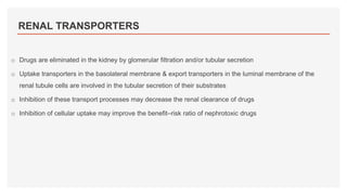 RENAL TRANSPORTERS
o Drugs are eliminated in the kidney by glomerular filtration and/or tubular secretion
o Uptake transporters in the basolateral membrane & export transporters in the luminal membrane of the
renal tubule cells are involved in the tubular secretion of their substrates
o Inhibition of these transport processes may decrease the renal clearance of drugs
o Inhibition of cellular uptake may improve the benefit–risk ratio of nephrotoxic drugs
 