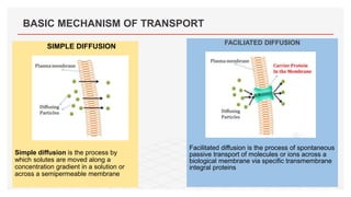 SIMPLE DIFFUSION
Simple diffusion is the process by
which solutes are moved along a
concentration gradient in a solution or
across a semipermeable membrane
BASIC MECHANISM OF TRANSPORT
FACILIATED DIFFUSION
Facilitated diffusion is the process of spontaneous
passive transport of molecules or ions across a
biological membrane via specific transmembrane
integral proteins
 