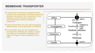 MEMBRANE TRANSPORTER
Ꙭ Transporters (membrane transport/carrier
proteins) are specialized membrane-spanning
proteins that assist in the movement of ions,
peptides, small molecules, lipids and
macromolecules across a biological
membrane.
Ꙭ Drug transporters are now well recognized
determinants of drug disposition and effects
Ꙭ Functionally, they can be classified into
transporters mediating the uptake of drugs
into cells and transporters mediating the
export of drugs or drug metabolites out of
cells
 