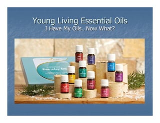 Young Living Essential Oils
I Have My Oils…Now What?

 