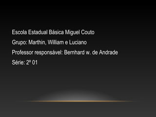 Escola Estadual Básica Miguel Couto
Grupo: Marthin, William e Luciano
Professor responsável: Bernhard w. de Andrade
Série: 2º 01
 