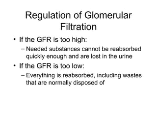 Regulation of Glomerular
           Filtration
• If the GFR is too high:
  – Needed substances cannot be reabsorbed
    quickly enough and are lost in the urine
• If the GFR is too low:
  – Everything is reabsorbed, including wastes
    that are normally disposed of
 